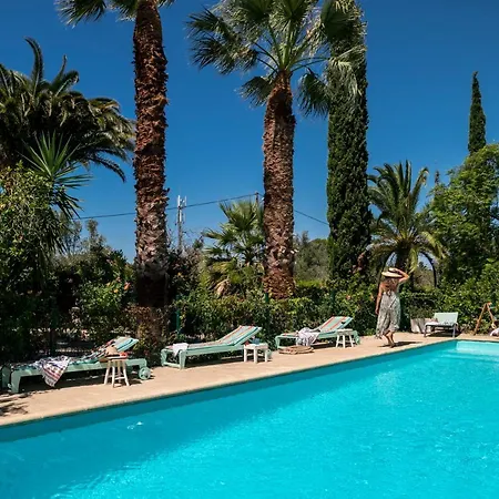 Fazenda Do Sul 빌라 알보르